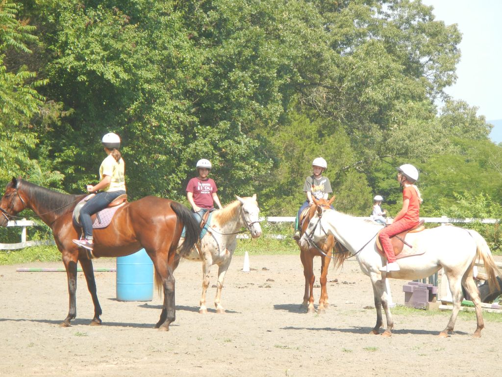We also have great summer camps!  Both day camps f