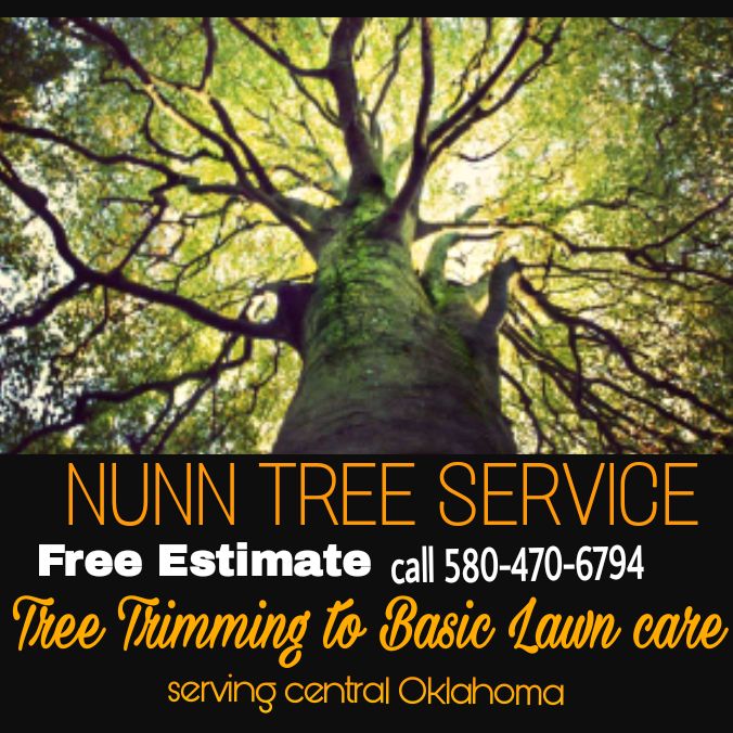 Nunn Tree Service