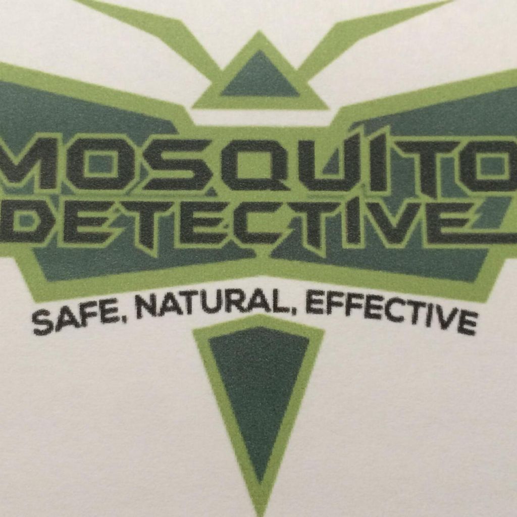 Mosquito Detective