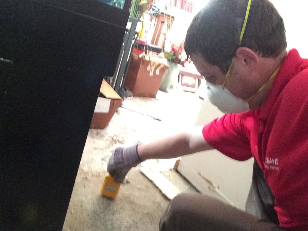 Water Damage - At Paul Davis we monitor daily duri