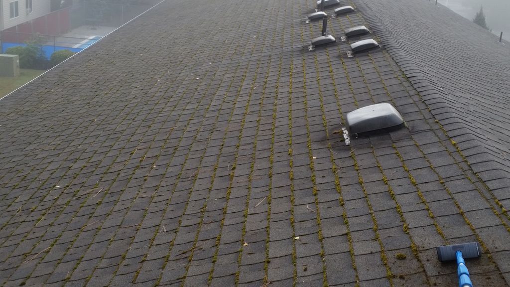 Franklin Apartments - Before Moss Removal