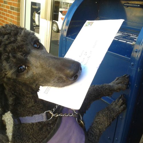 Blossom mailing a letter