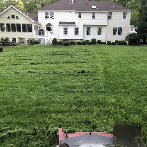 Double cutting overgrown lawn