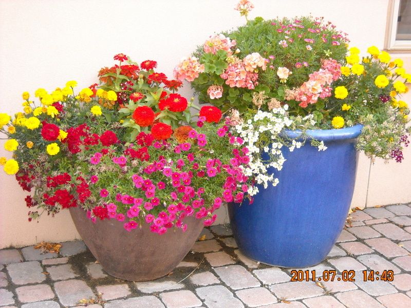 Container Gardening