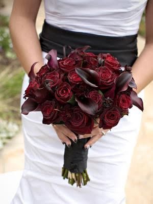 Elegantly simple and bold Red roses w/ Dark Star C
