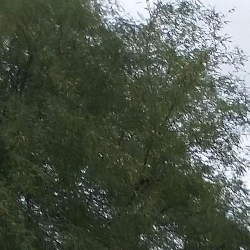 Desert Lifestyles Pools