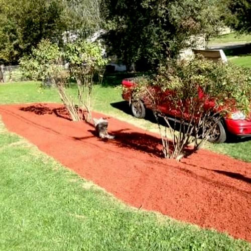 Completed mulch and lilac tree installation projec