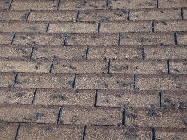 Before picture of roof damage due to hail