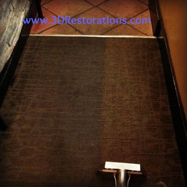 Carpet Before and After