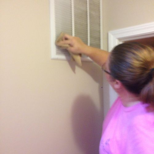 We always hand wipe our blinds and vents