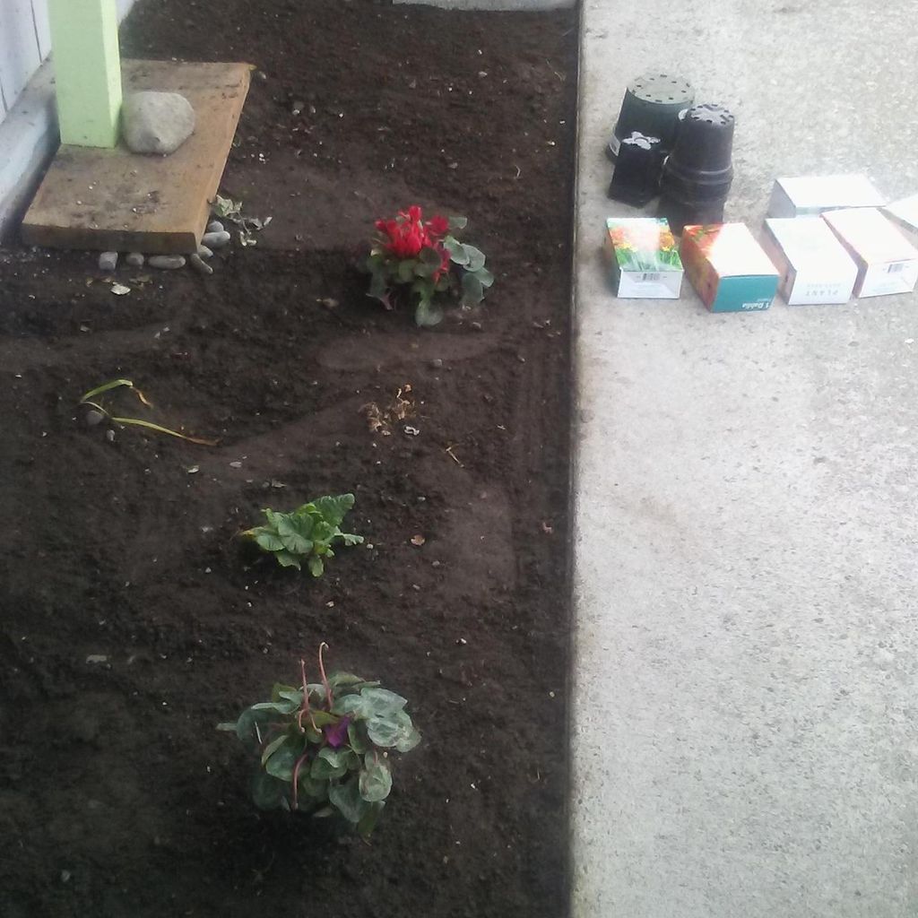 Affordable lawn care