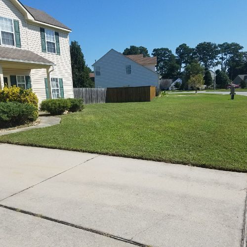 Lawn Maintenance after