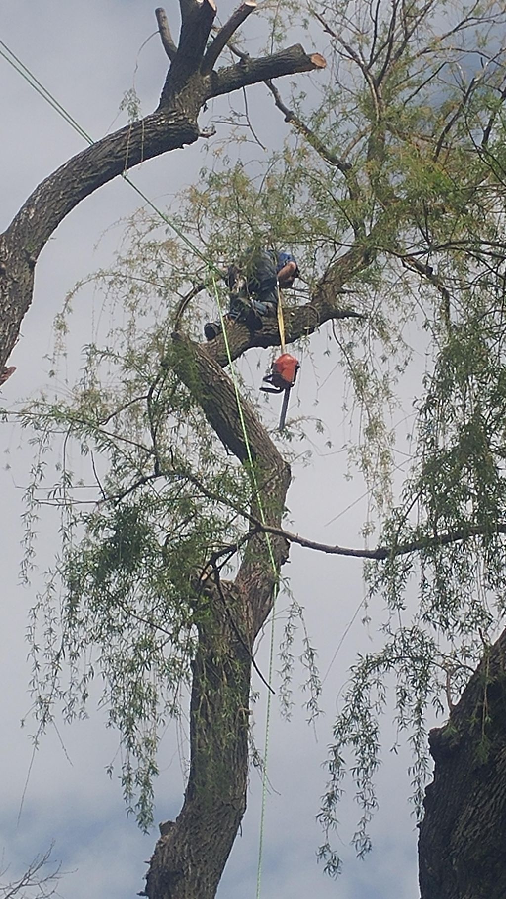 During (safe rigging)