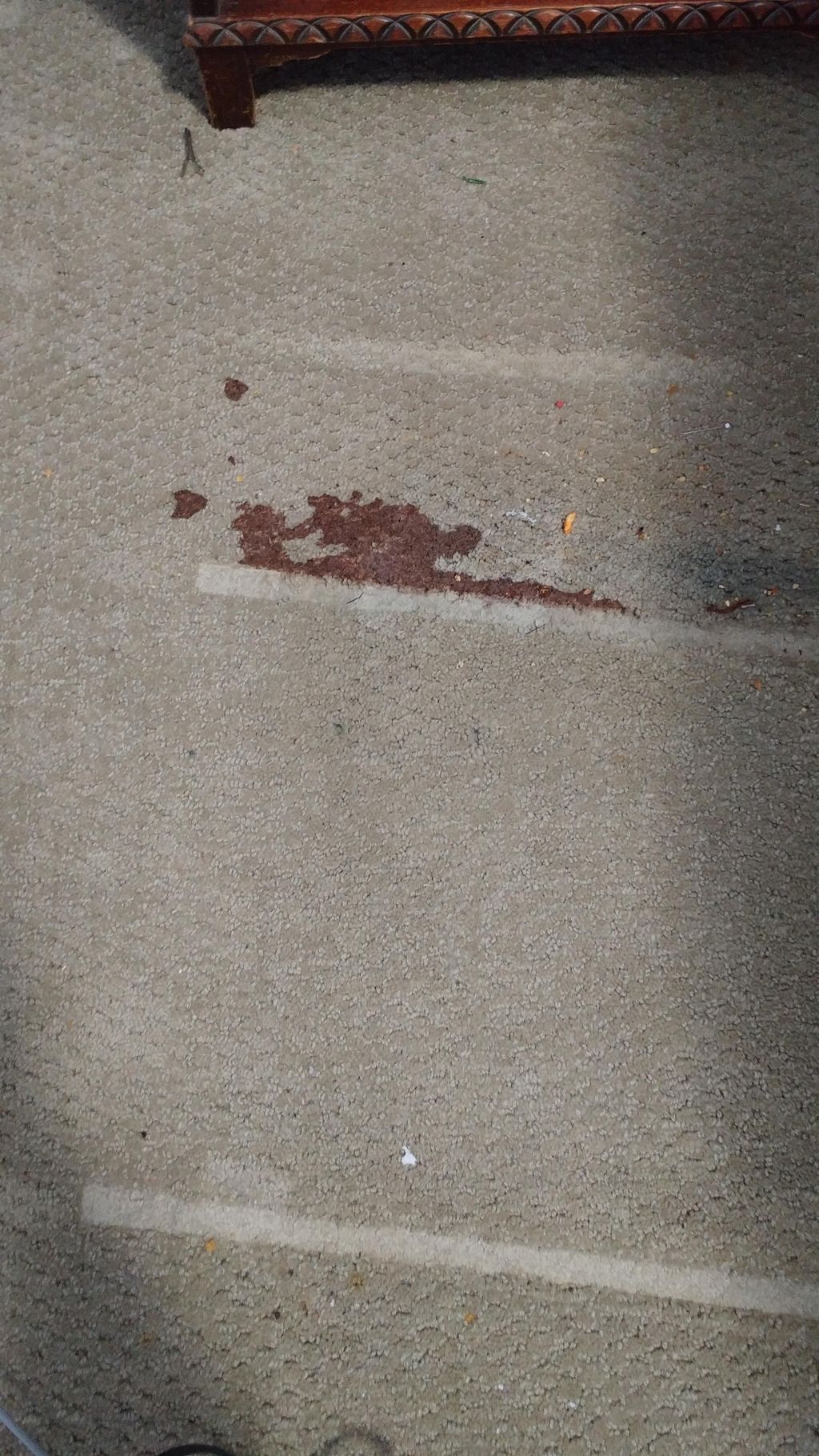 A little chocolate drink spill, and some grease fr