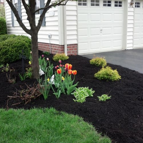 We offer mulching and flower bed cleanup