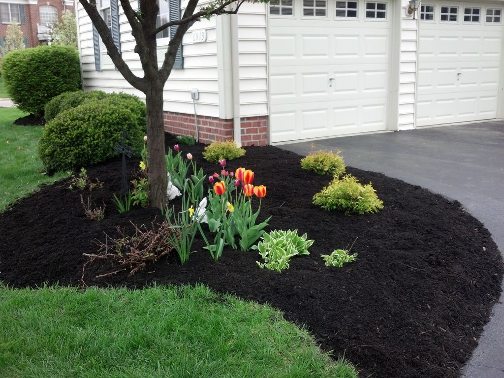 We offer mulching and flower bed cleanup