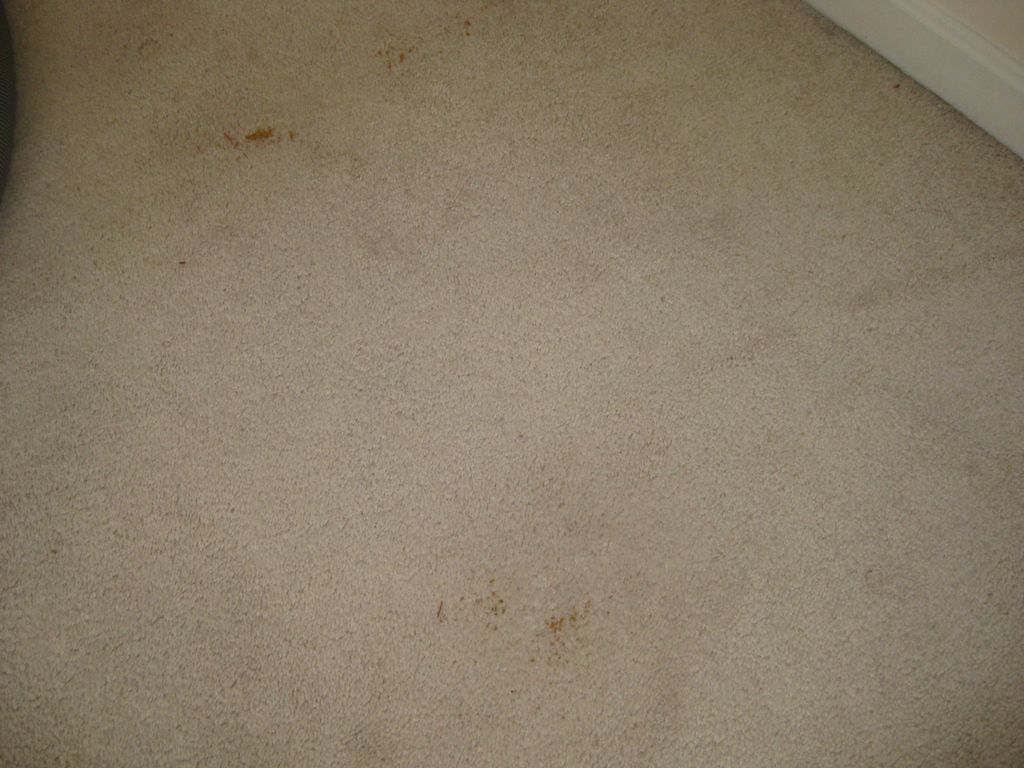 stains on carpet