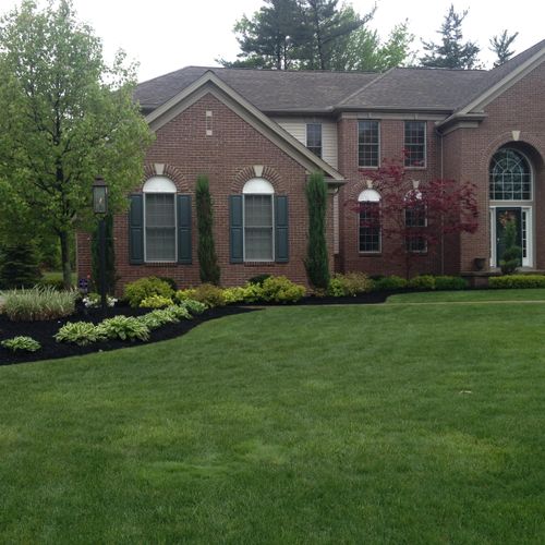 Lawn Maintenance, Mulching and Trimming