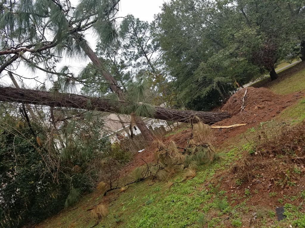 storm damage 