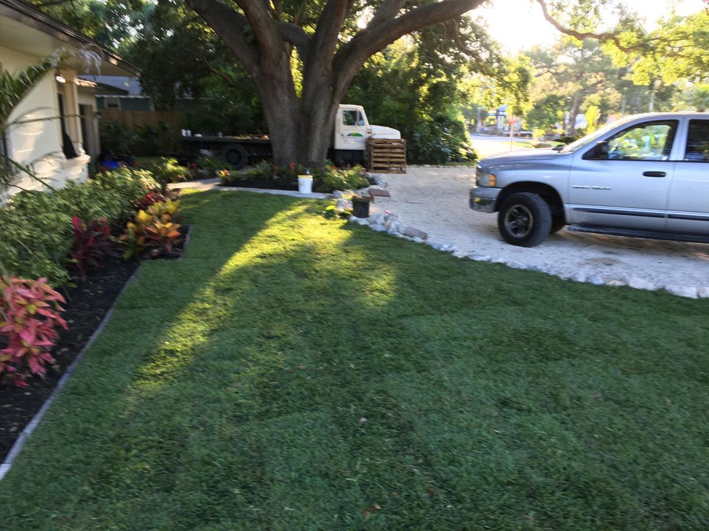 Fresh, healthy sod day one!