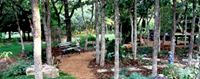 Edmond Landscapes & Grounds Maintenance, Inc.