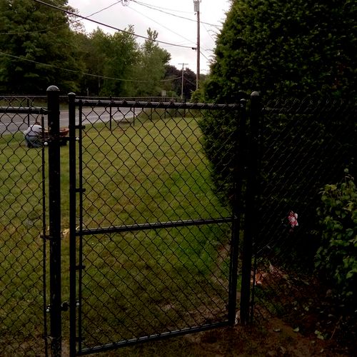 vinyl coated chain link fence with gate
