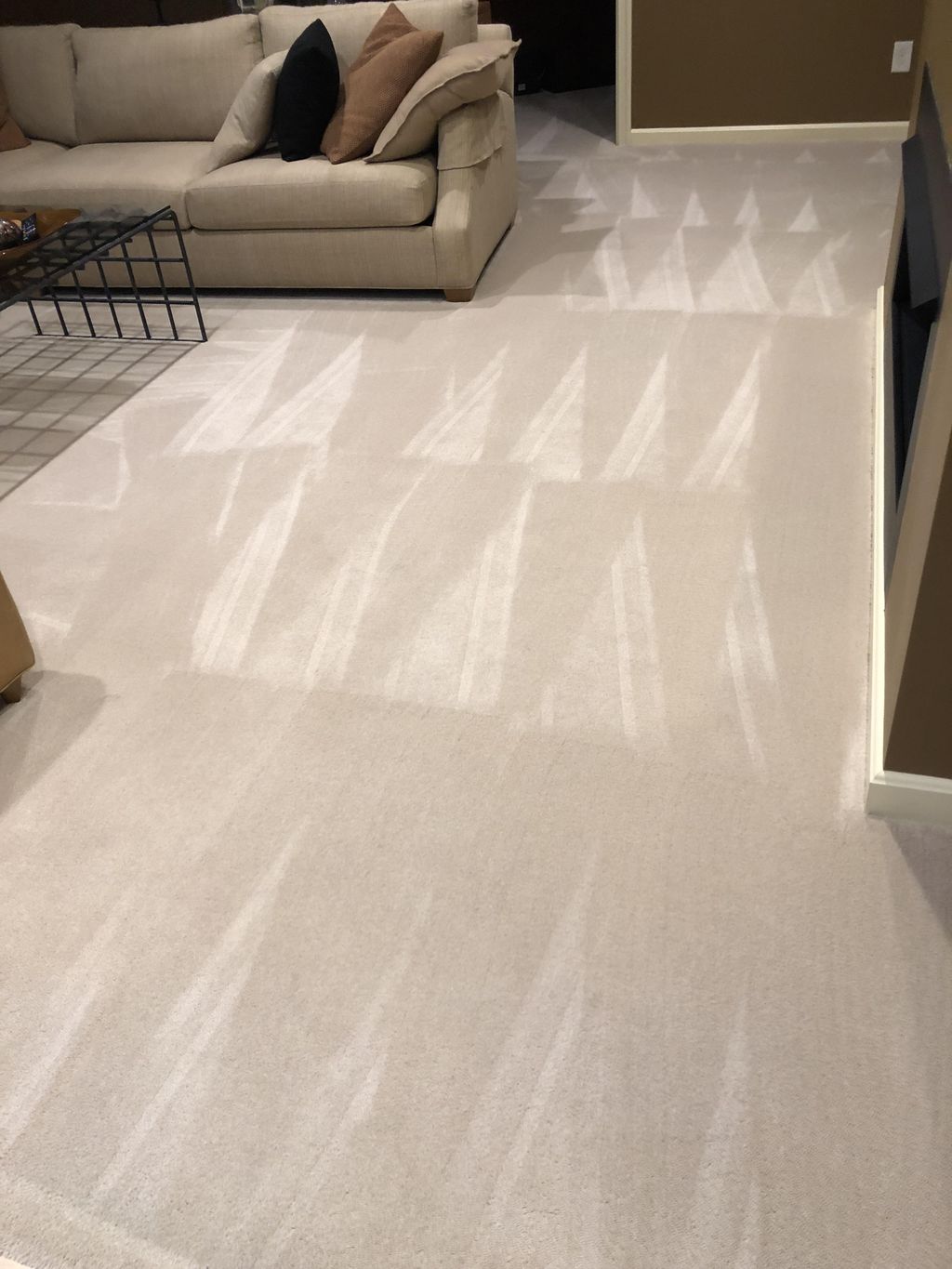 Carpet Scrub