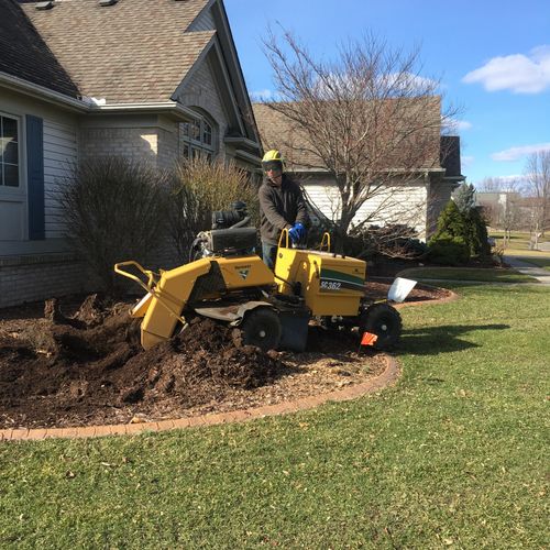 Professional stump grinding with our New 1500lb li