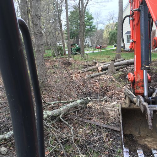 Land clearing in Natick ma