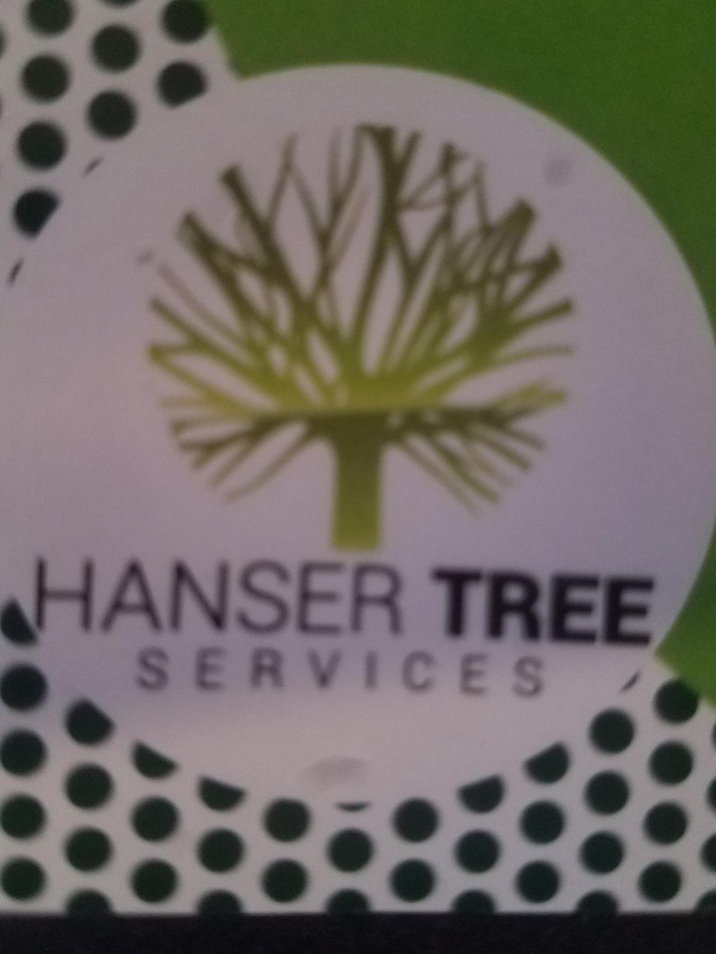Hanser Tree services