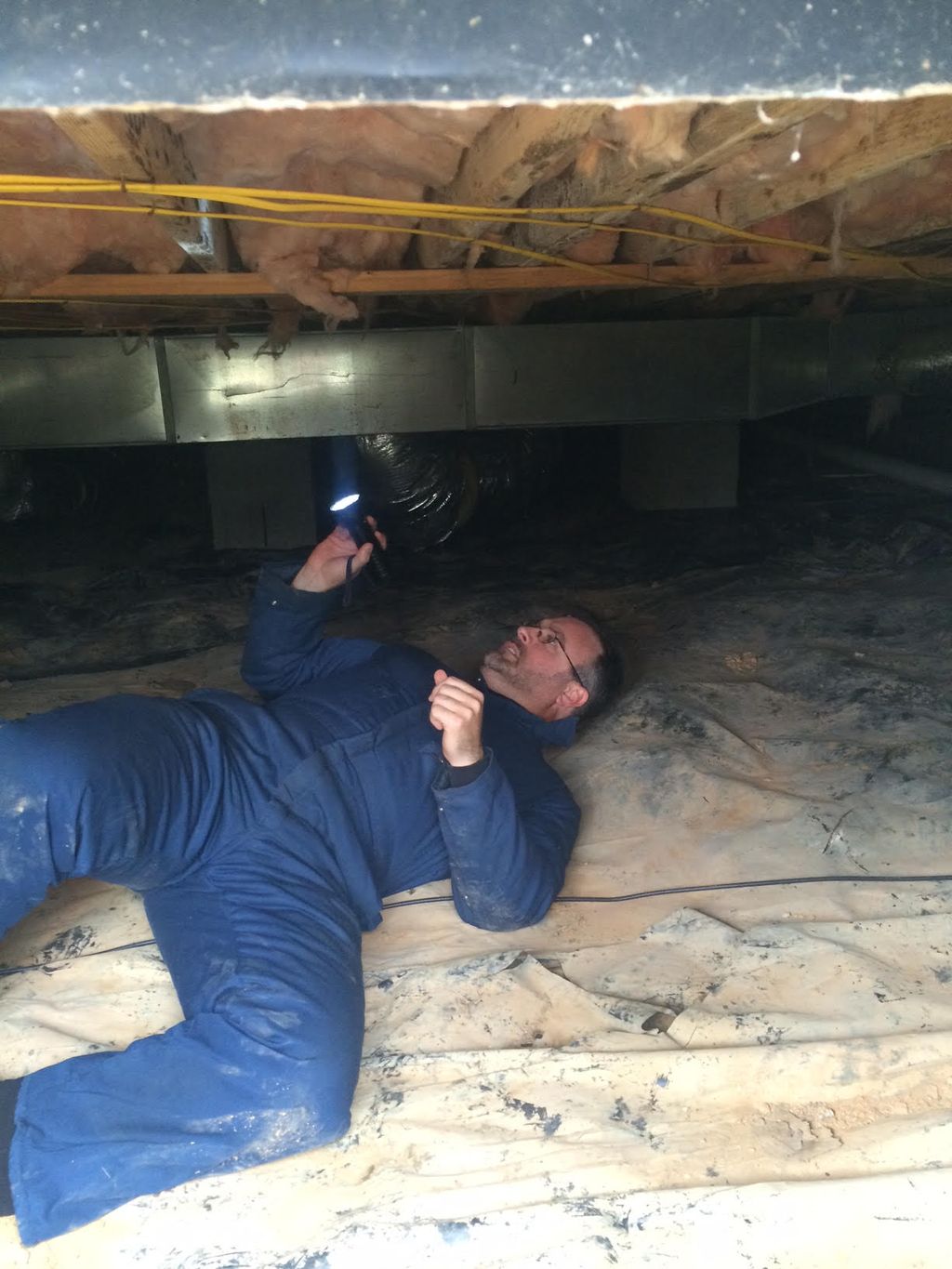 mold inspection