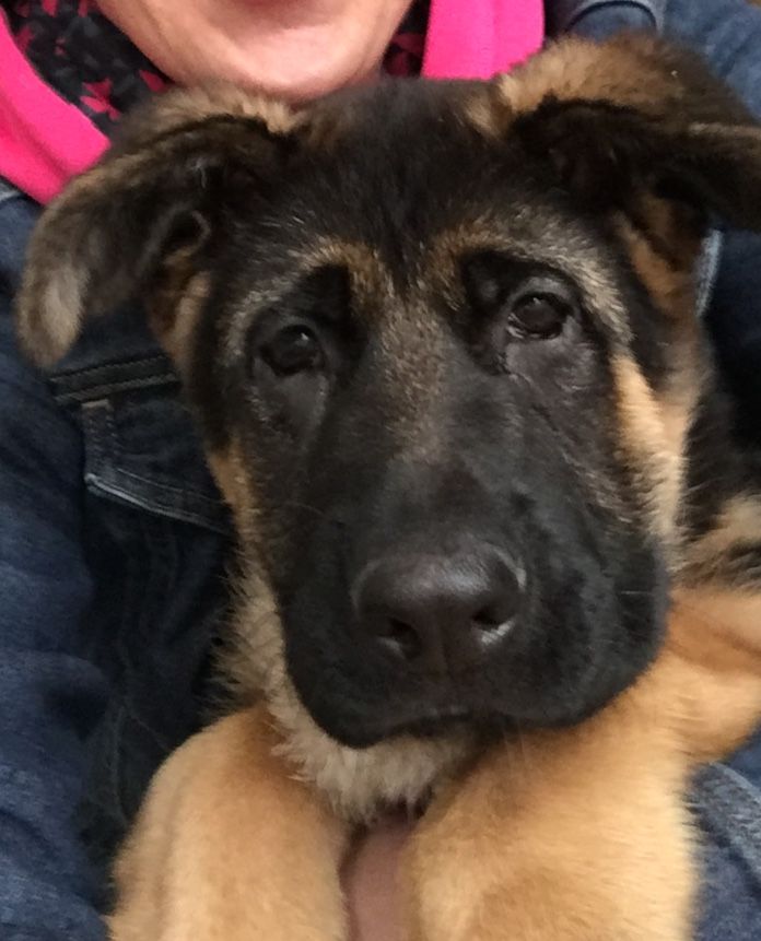 Starting out on the right path