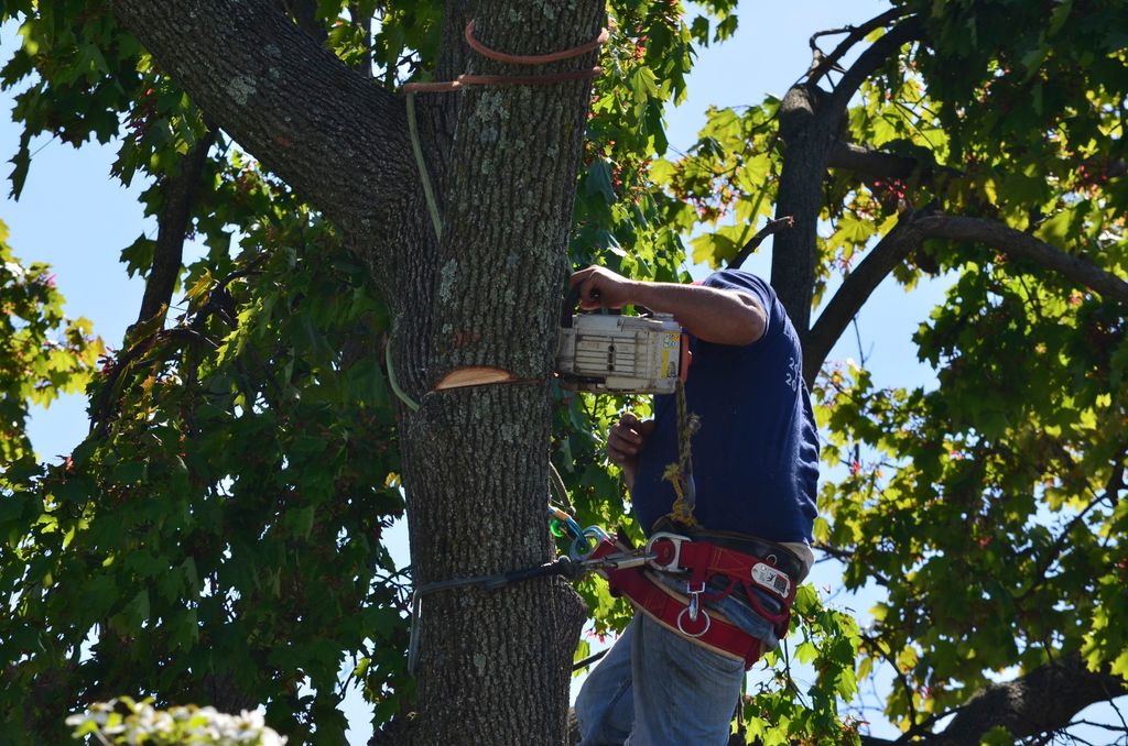 /Users/hector/Pictures/iPhoto Library.photolibrary