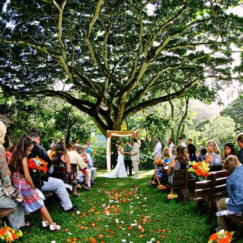 Wedding ceremony at Waimea Valley.