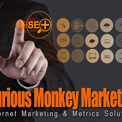 Curious Monkey Branding