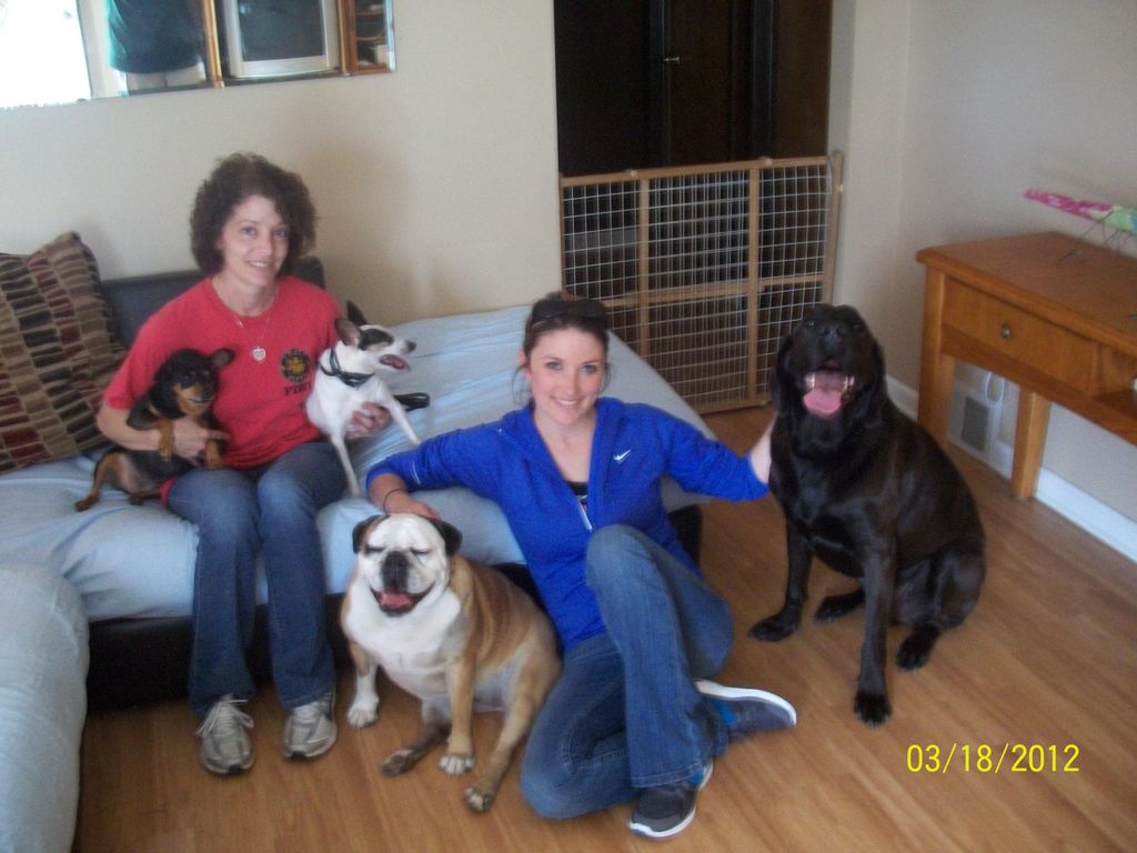 K-9 Comfort Zone in-home training graduates