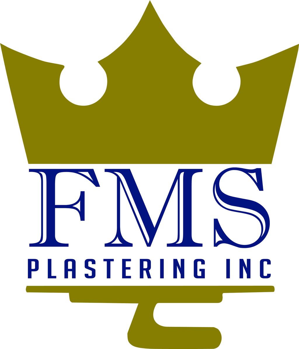 fms plastering