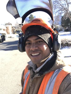 Avatar for Supreme Tree and Experts