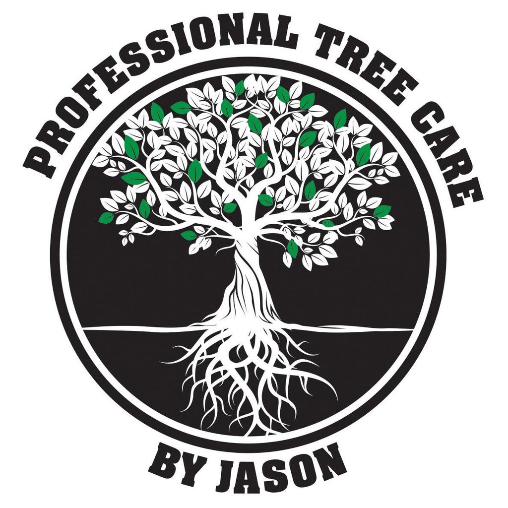 Professional Tree Care By Jason