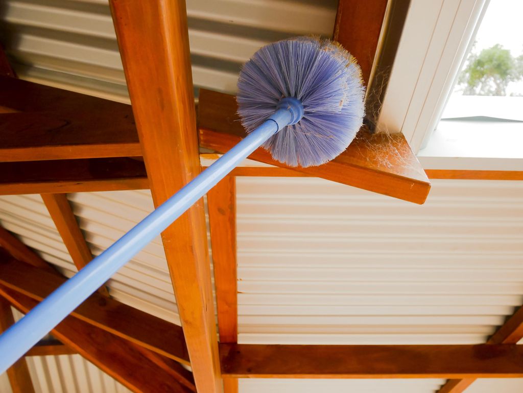 Web and Wasp Nest Removal