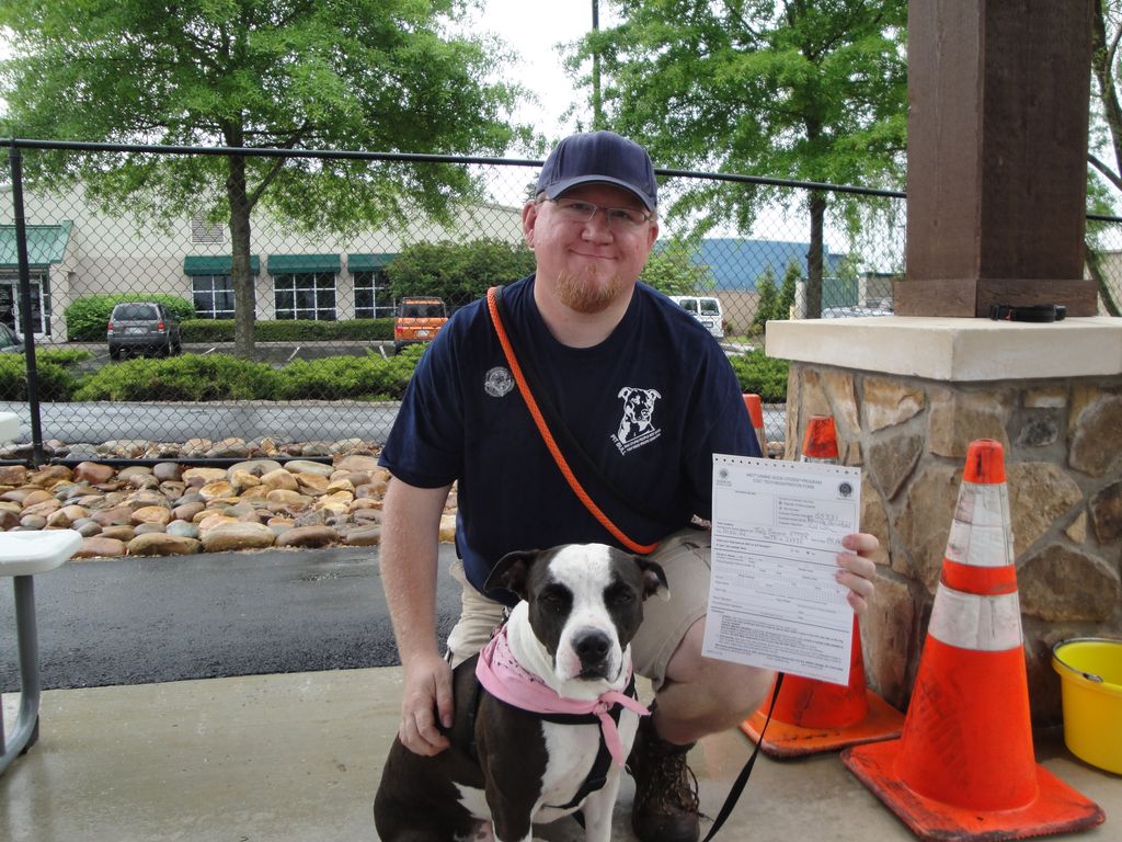 Missy obtaining her AKC's Canine Good Citizen