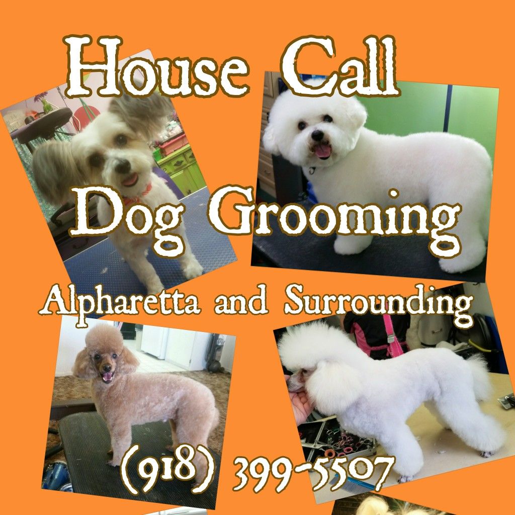 Housecall Dog Grooming by Brittany B