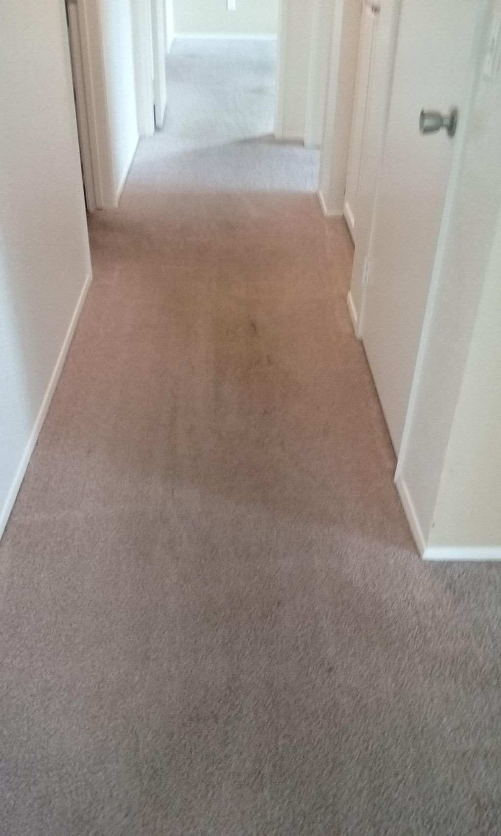 Before Hallway at a local apartment.