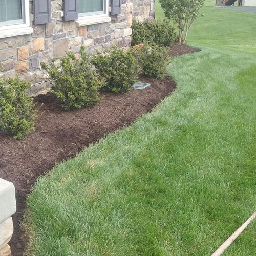 created flower bed planting bushes