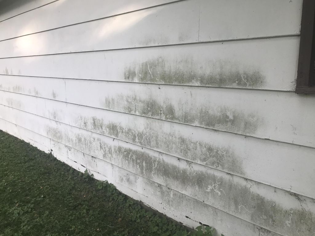 Years of dirt/moss growth
