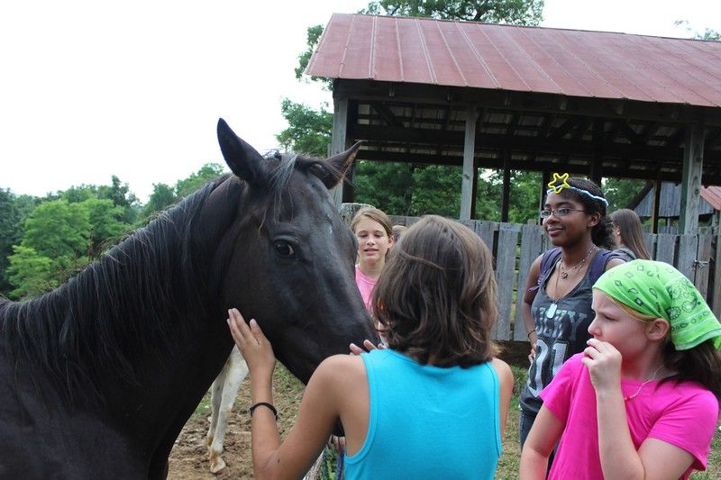 At the horse barn with my cabin (while I was a sum