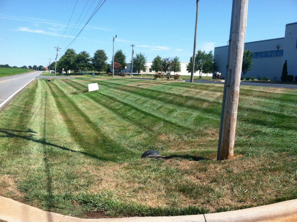 Turf Scapes Lawn Maintenance