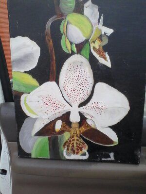 Close up study of rare orchid