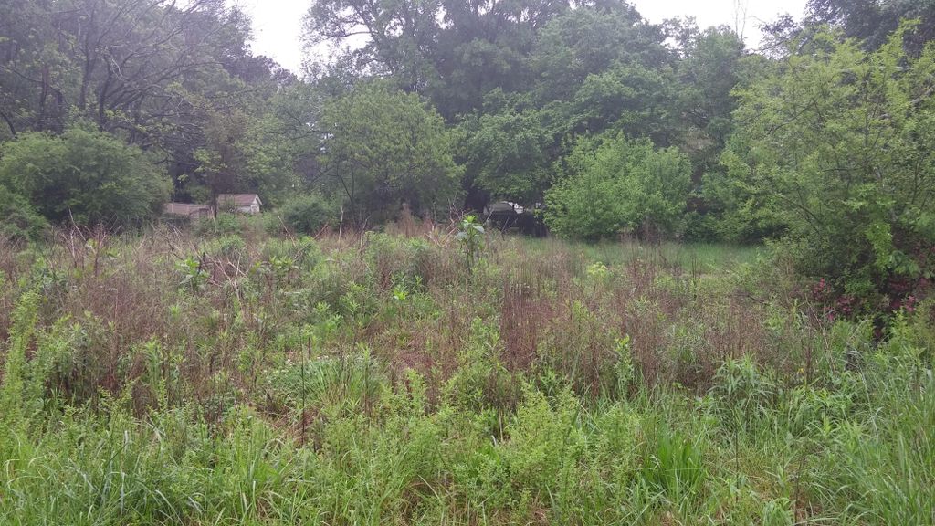 Before Field Mowing Maintenance - Tanner Estates -