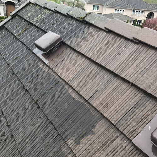 Tile roof cleaning 